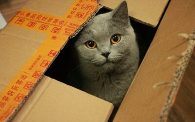 Schrödinger’s Click: The Most Misunderstood Metric in Media
